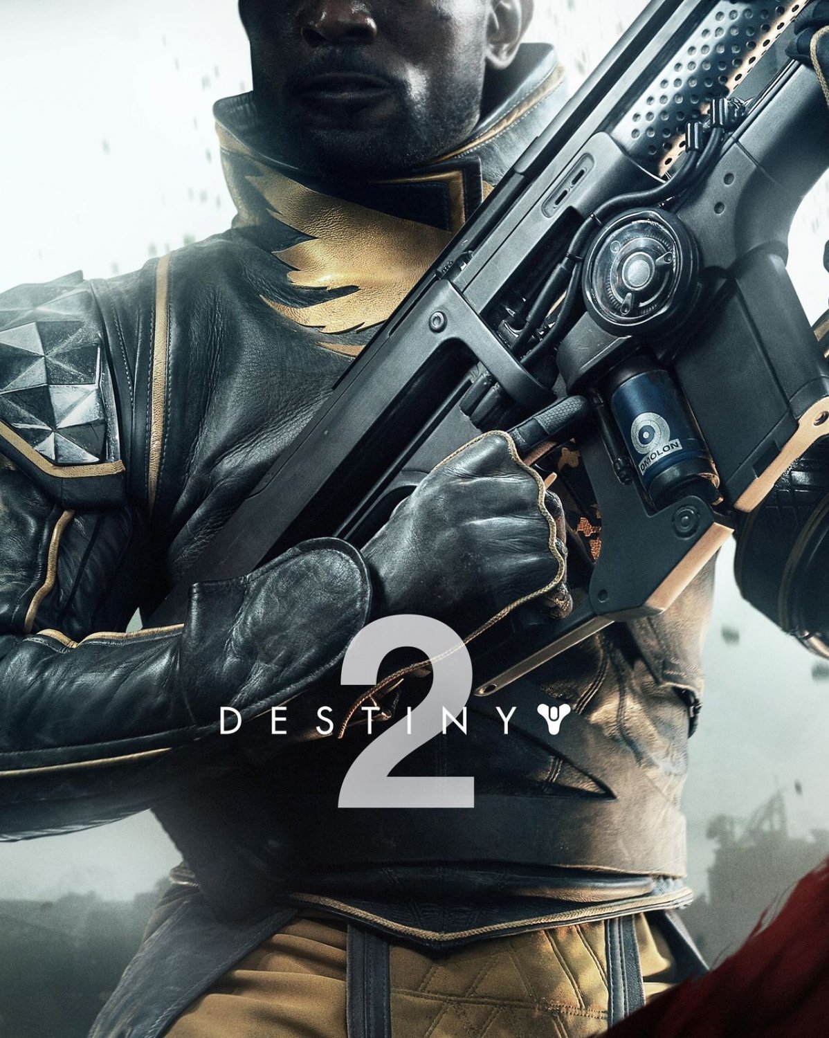 Destiny 2 Game 13"x19" (32cm/49cm) Poster