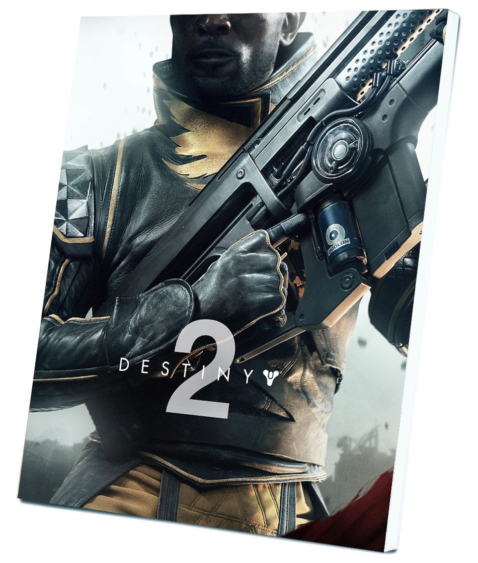 Destiny 2 Game 8"x12" (20cm/30cm) Canvas Print