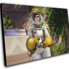 Overwatch Anniversary Beekeeper Mei Game  12"x16" (30cm/40cm) Canvas Print