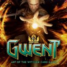 Gwent The Witcher Card Game Wild Hunt 18"x28" (45cm/70cm) Poster