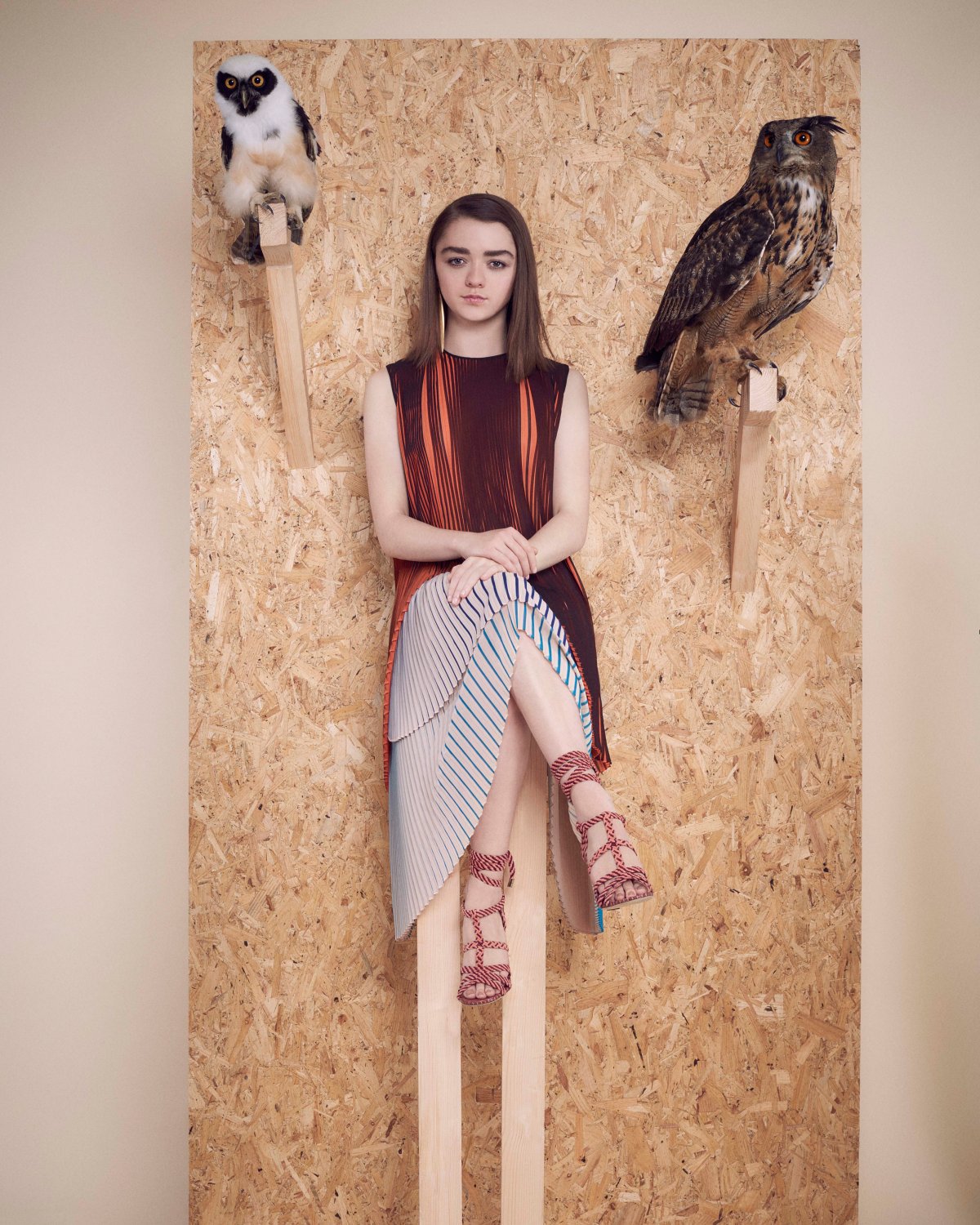 Game of Thrones Movie Arya Stark 13"x19" (32cm/49cm) Poster