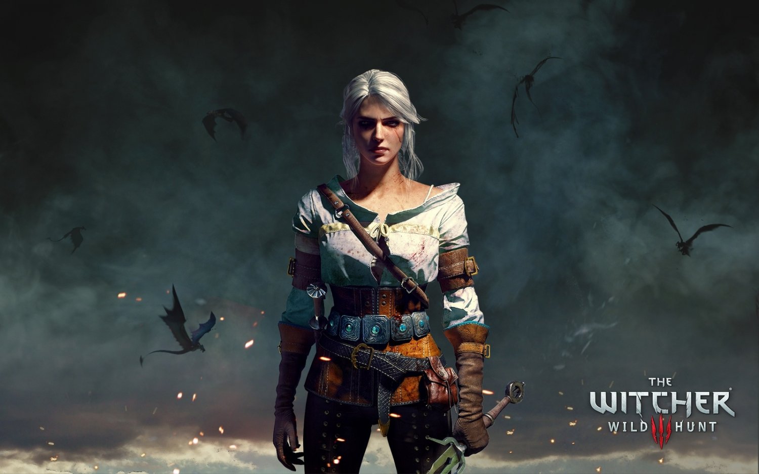 The Witcher 3 Wild Hunt Game 13"x19" (32cm/49cm) Poster