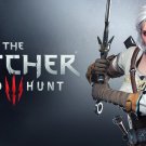 The Witcher 3 Wild Hunt Game 18"x28" (45cm/70cm) Poster