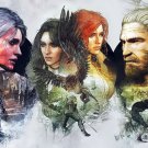 The Witcher 3 Wild Hunt Game 18"x28" (45cm/70cm) Poster