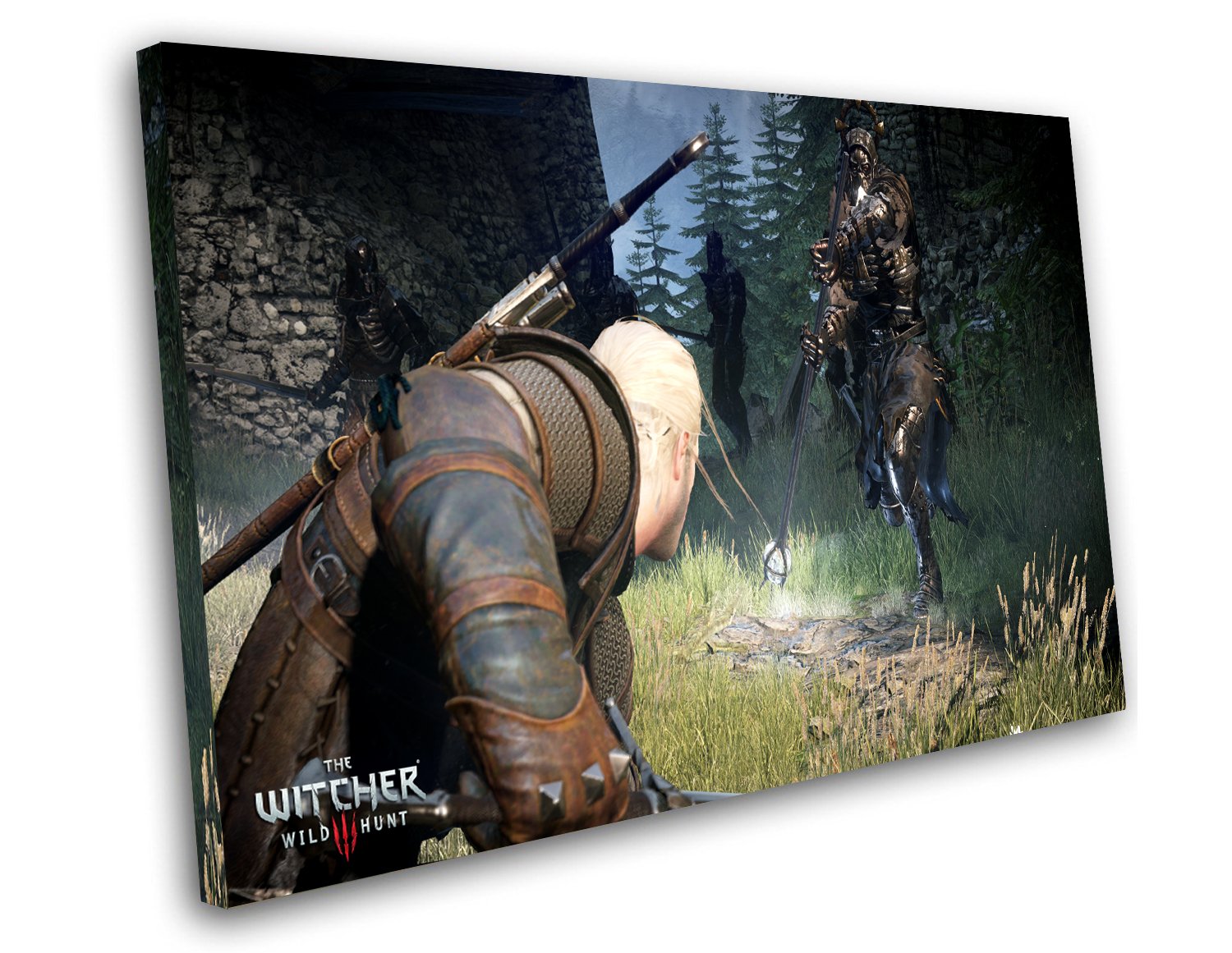 The Witcher 3 Wild Hunt Game 12"x16" (30cm/40cm) Canvas Print
