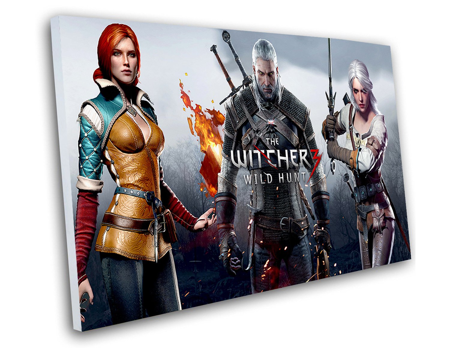 The Witcher 3 Wild Hunt Game 12"x16" (30cm/40cm) Canvas Print