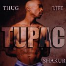 2Pac Tupac Shakur 13"x19" (32cm/49cm) Poster