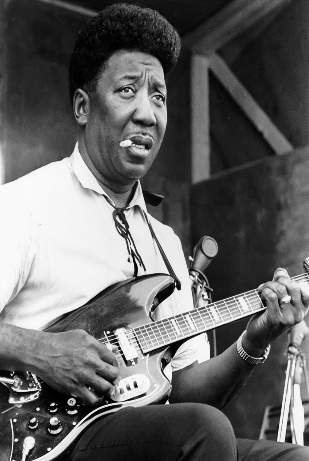 Muddy Waters 13"x19" (32cm/49cm) Polyester Fabric Poster