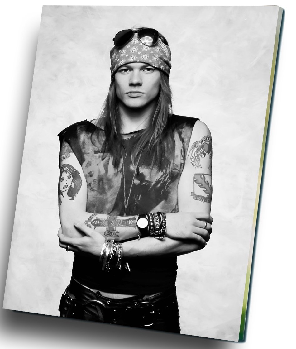 Axl Rose  Guns N' Roses   8"x12" (20cm/30cm) Canvas Print
