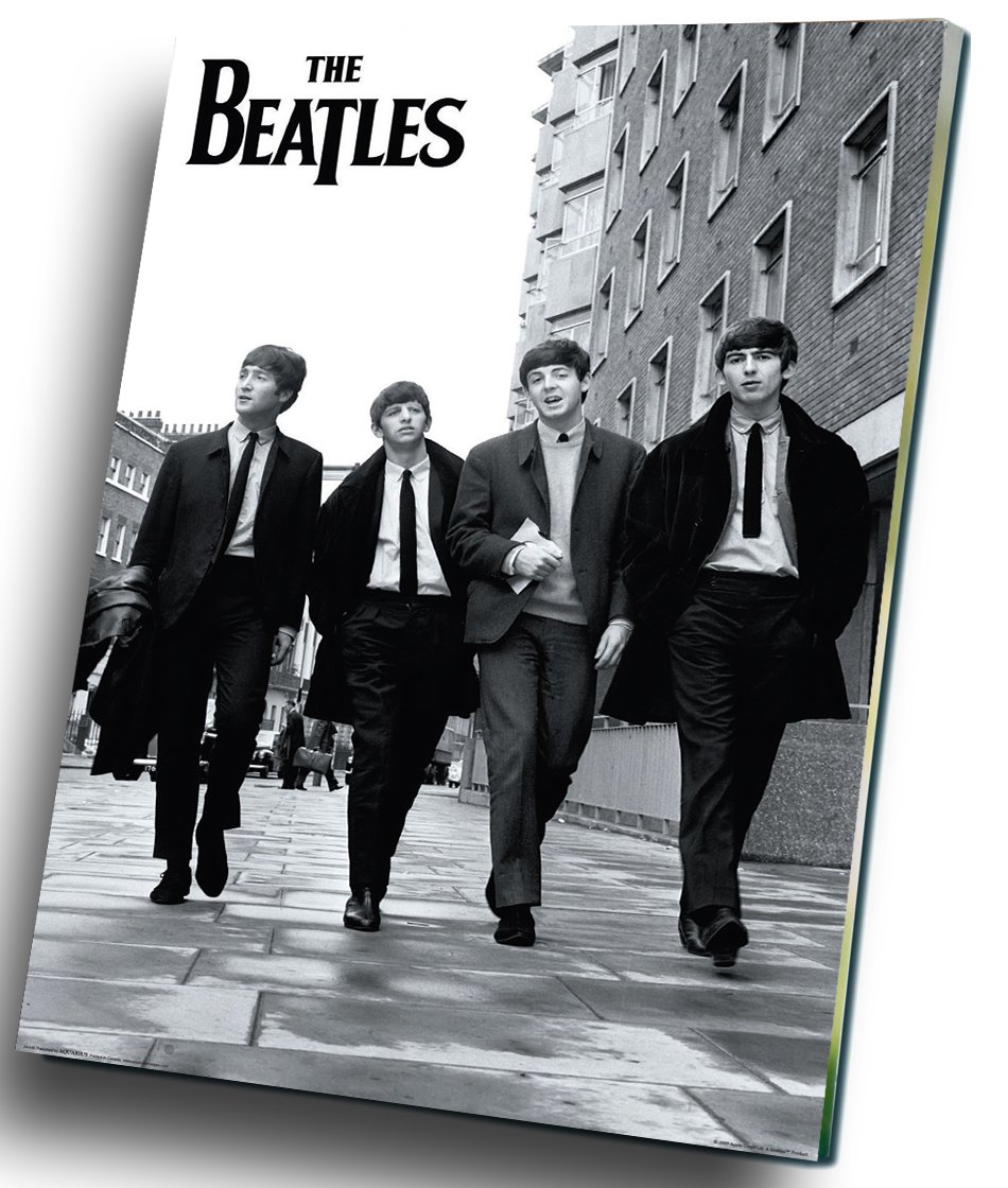The Beatles   12"x16" (30cm/40cm) Canvas Print