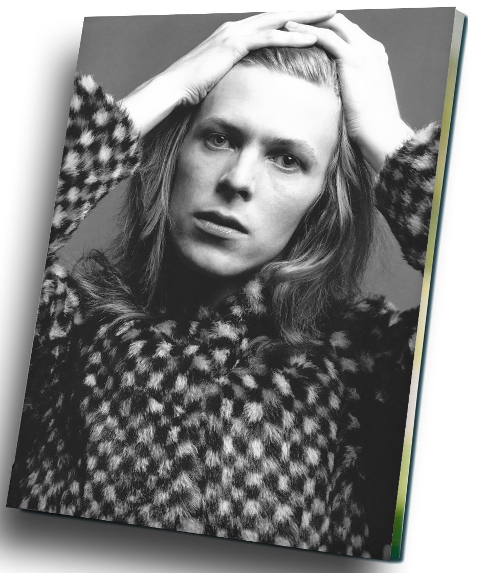 David Bowie  12"x16" (30cm/40cm) Canvas Print