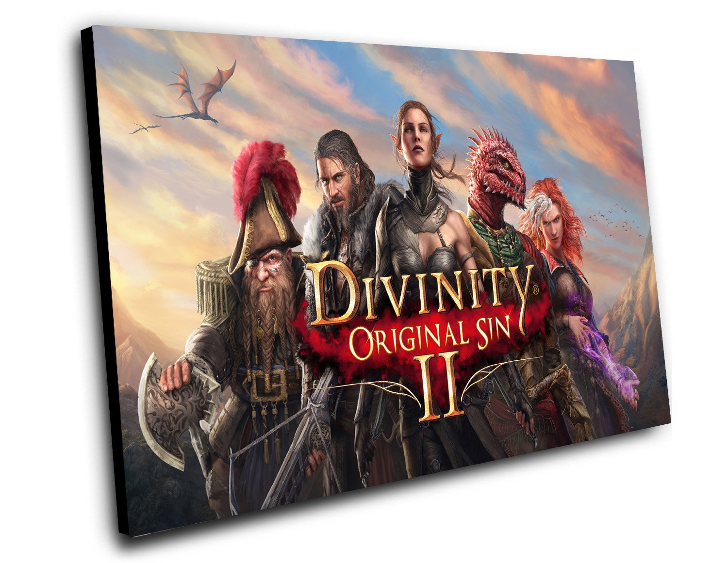 Divinity Original Sin 2 Game 12"x16" (30cm/40cm) Canvas Print