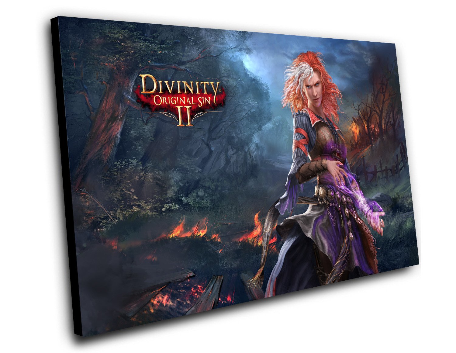 Divinity Original Sin 2 Game 12"x16" (30cm/40cm) Canvas Print