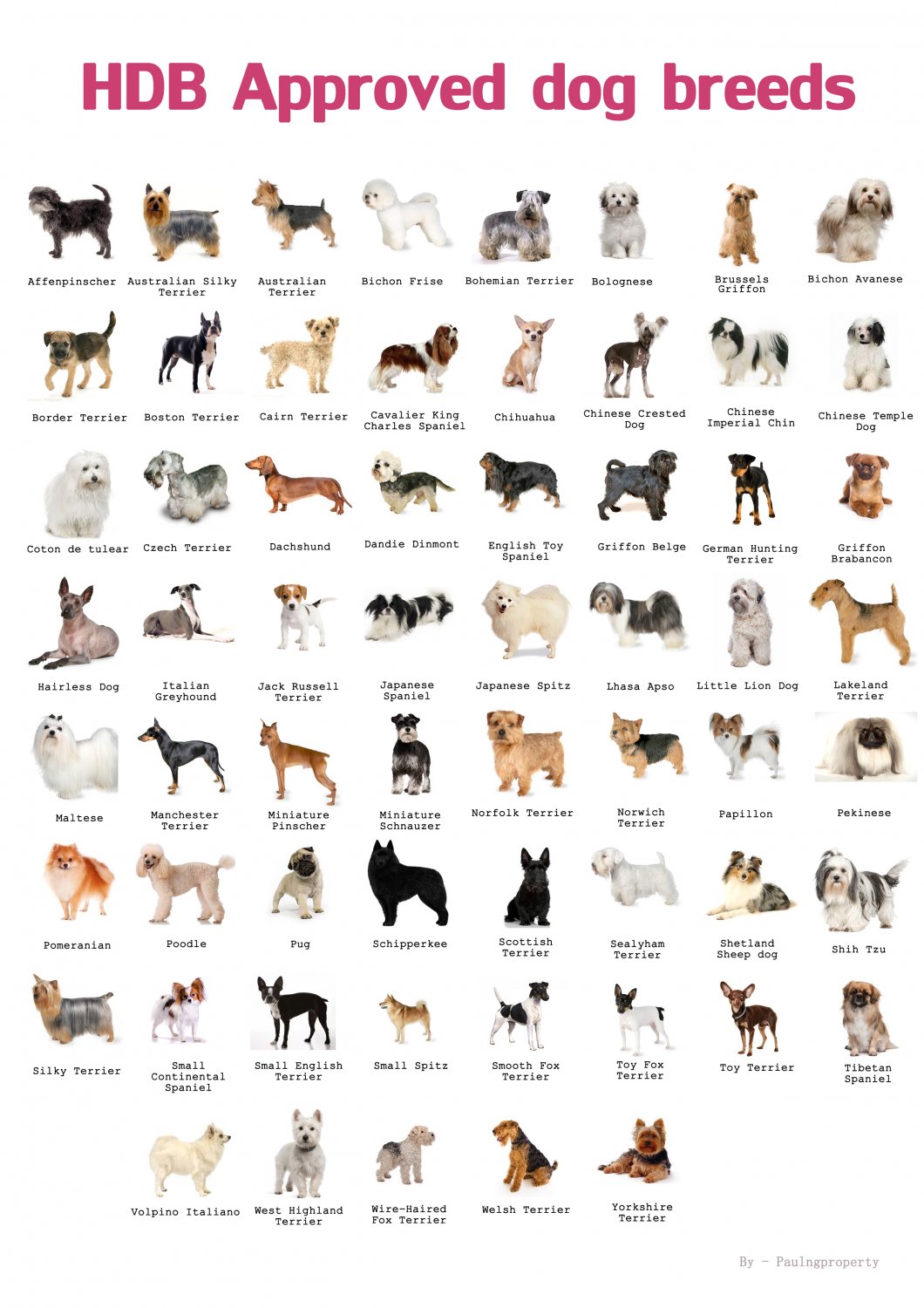 Approved Dog Breeds Chart  13"x19" (32cm/49cm) Polyester Fabric Poster