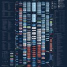 Integrated Space Plan Chart  18"x28" (45cm/70cm) Poster