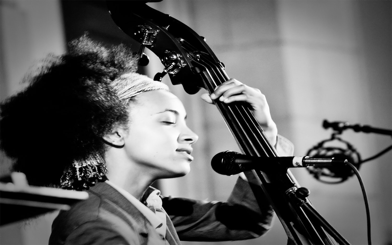 Esperanza Spalding 13"x19" (32cm/49cm) Polyester Fabric Poster
