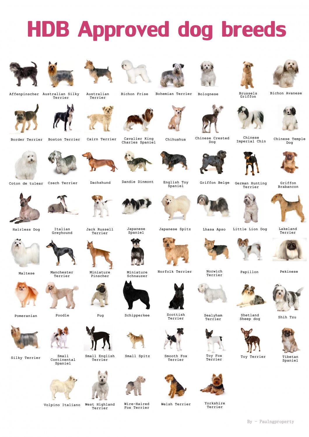 Types Of Dogs Chart