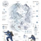 Mount Everest Infographic Chart  18"x28" (45cm/70cm) Canvas Print