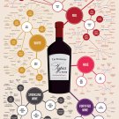 The Different Types of Wine Chart  18"x28" (45cm/70cm) Poster