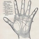 Palm Reading Palmistry Chart  18"x28" (45cm/70cm) Poster