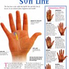 Reading your Sun Line Palmistry Chart   18"x28" (45cm/70cm) Poster
