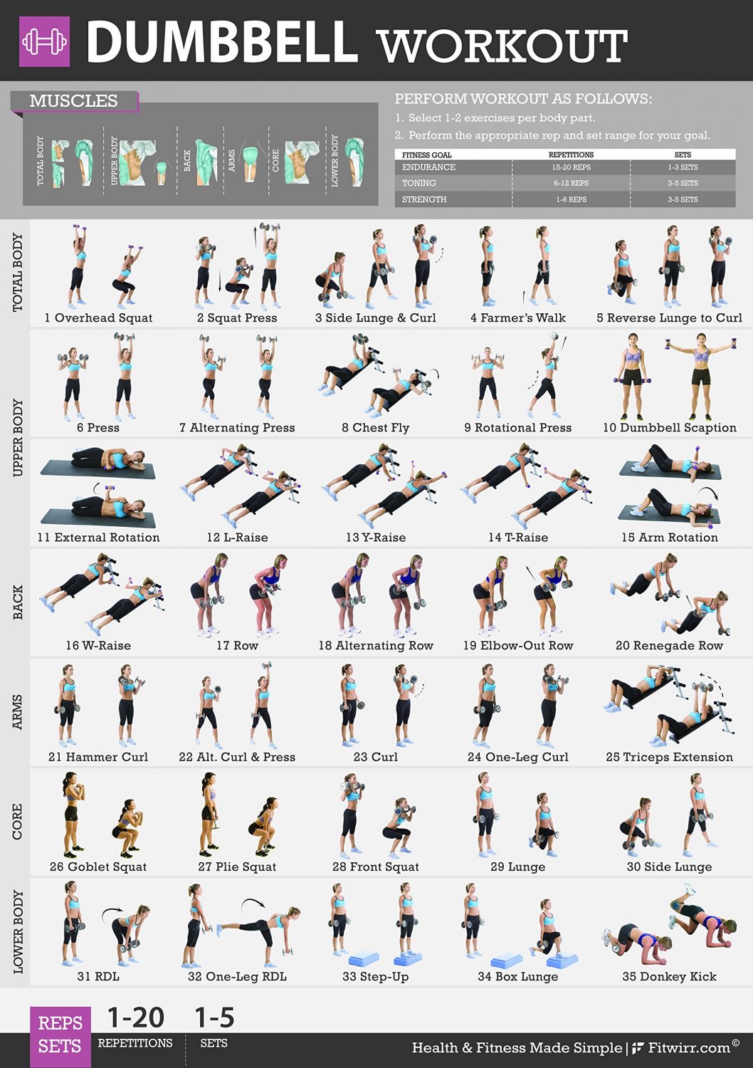 Dumbbell Workout Chart 18"x28" (45cm/70cm) Poster