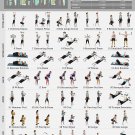 Dumbbell Workout Chart  18"x28" (45cm/70cm) Poster