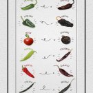 Hot Chili Peppers Chart   18"x28" (45cm/70cm) Poster