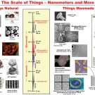 The Scale of Things Nanometers and More Chart  18"x28" (45cm/70cm) Poster