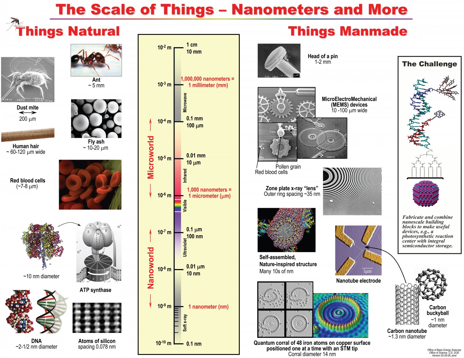 The Scale of Things Nanometers and More Chart  18"x28" (45cm/70cm) Canvas Print