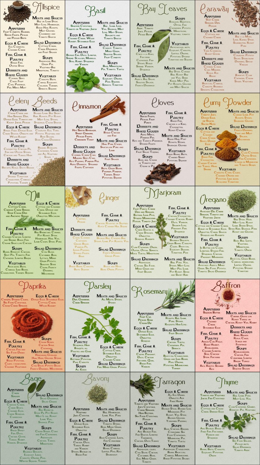 The Ultimate Infographic Guide to Spices Chart 18"x28" (45cm/70cm) Poster