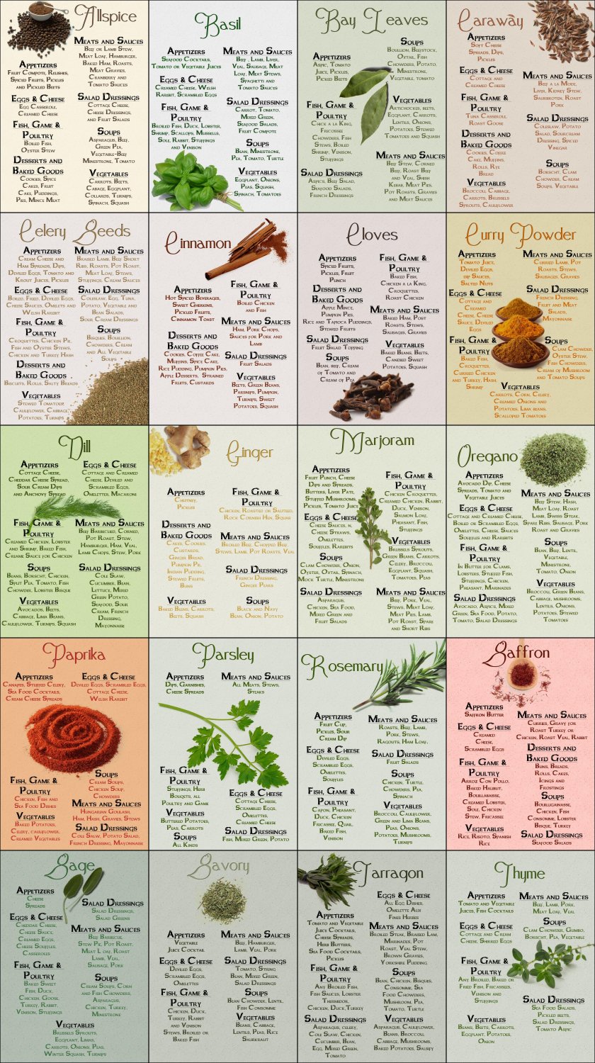 The Ultimate Infographic Guide to Spices Chart  18"x28" (45cm/70cm) Canvas Print