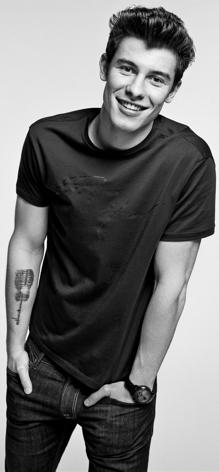 Shawn Mendes 18"x28" (45cm/70cm) Poster