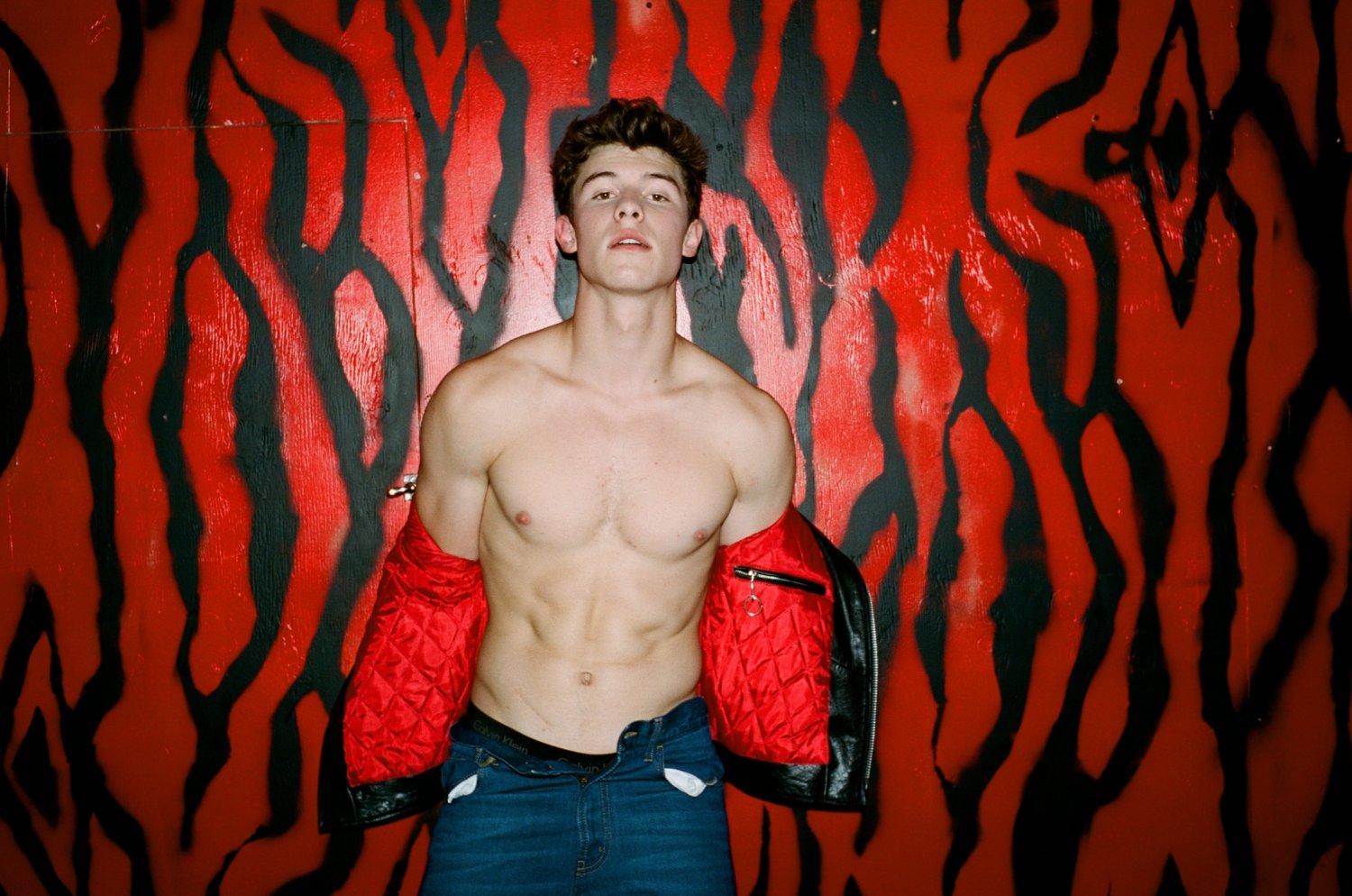 Shawn Mendes 18"x28" (45cm/70cm) Poster