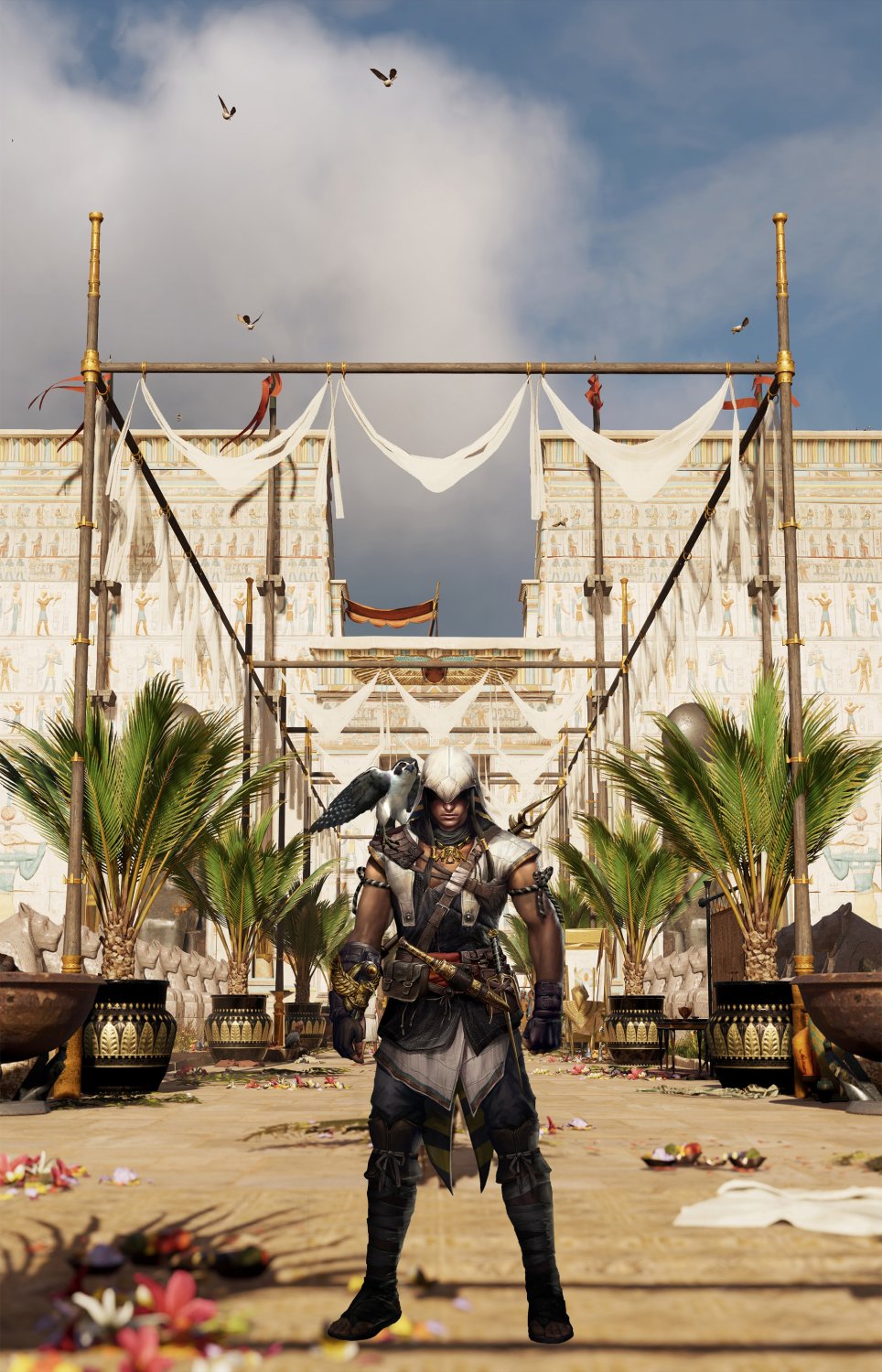 Assassins Creed Origins 18x28 45cm70cm Poster 8898