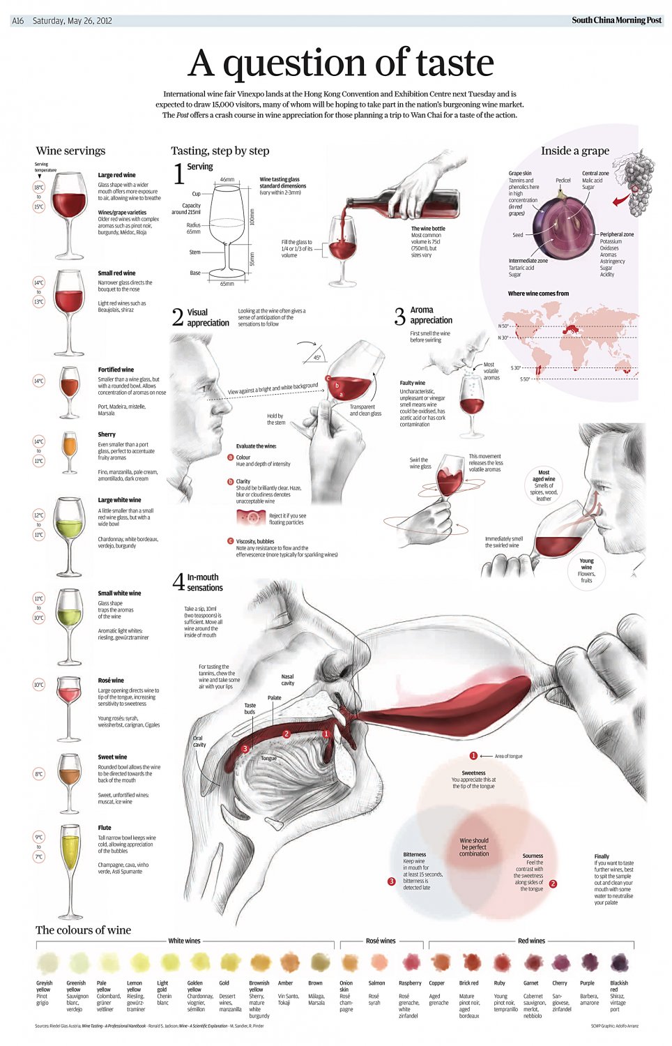 A Question of Taste Wine Chart 18"x28" (45cm/70cm) Poster