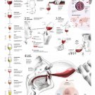 A Question of Taste Wine Chart  13"x19" (32cm/49cm) Poster