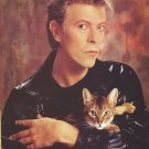 David Bowie  13"x19" (32cm/49cm) Poster