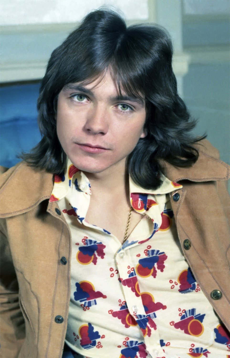 David Cassidy 18"x28" (45cm/70cm) Poster