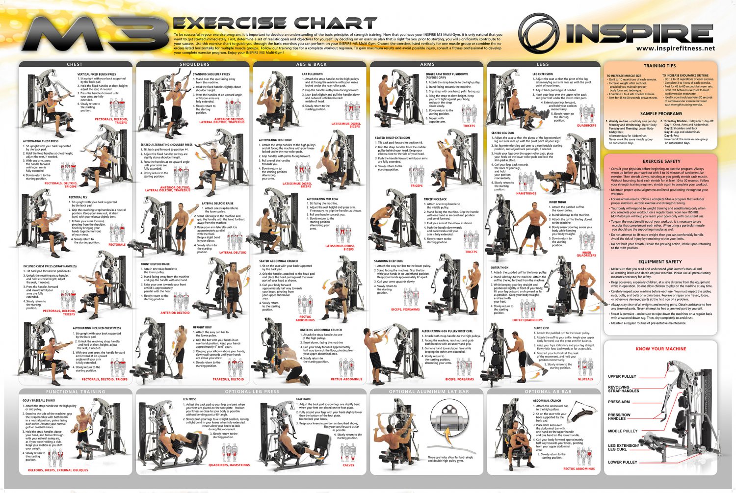 Different Types of Exercise Workout Chart  18"x28" (45cm/70cm) Canvas Print