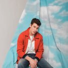 Shawn Mendes 13"x19" (32cm/49cm) Polyester Fabric Poster