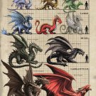 Adult Dragon Size Comparison Chart  18"x28" (45cm/70cm) Canvas Print