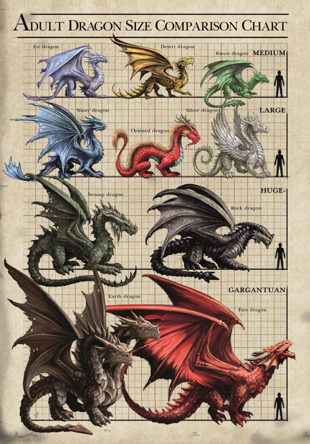 Adult Dragon Size Comparison Chart 18"x28" (45cm/70cm) Poster