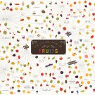 The Various Varieties of Fruits Chart 18"x28" (45cm/70cm) Poster