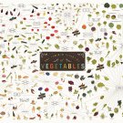 The Various Varieties of Vegetables Chart 18"x28" (45cm/70cm) Poster