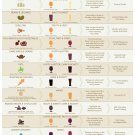 Craft Beer and Food Pairing Guide Chart 18"x28" (45cm/70cm) Canvas Print