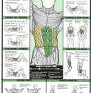 Abdominal Workout Chart 18"x28" (45cm/70cm) Poster