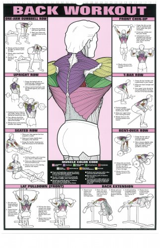 Yassin eldesouky - Triceps Workout Chart🔥💪🔥