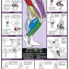 Leg Workout Chart  18"x28" (45cm/70cm) Poster