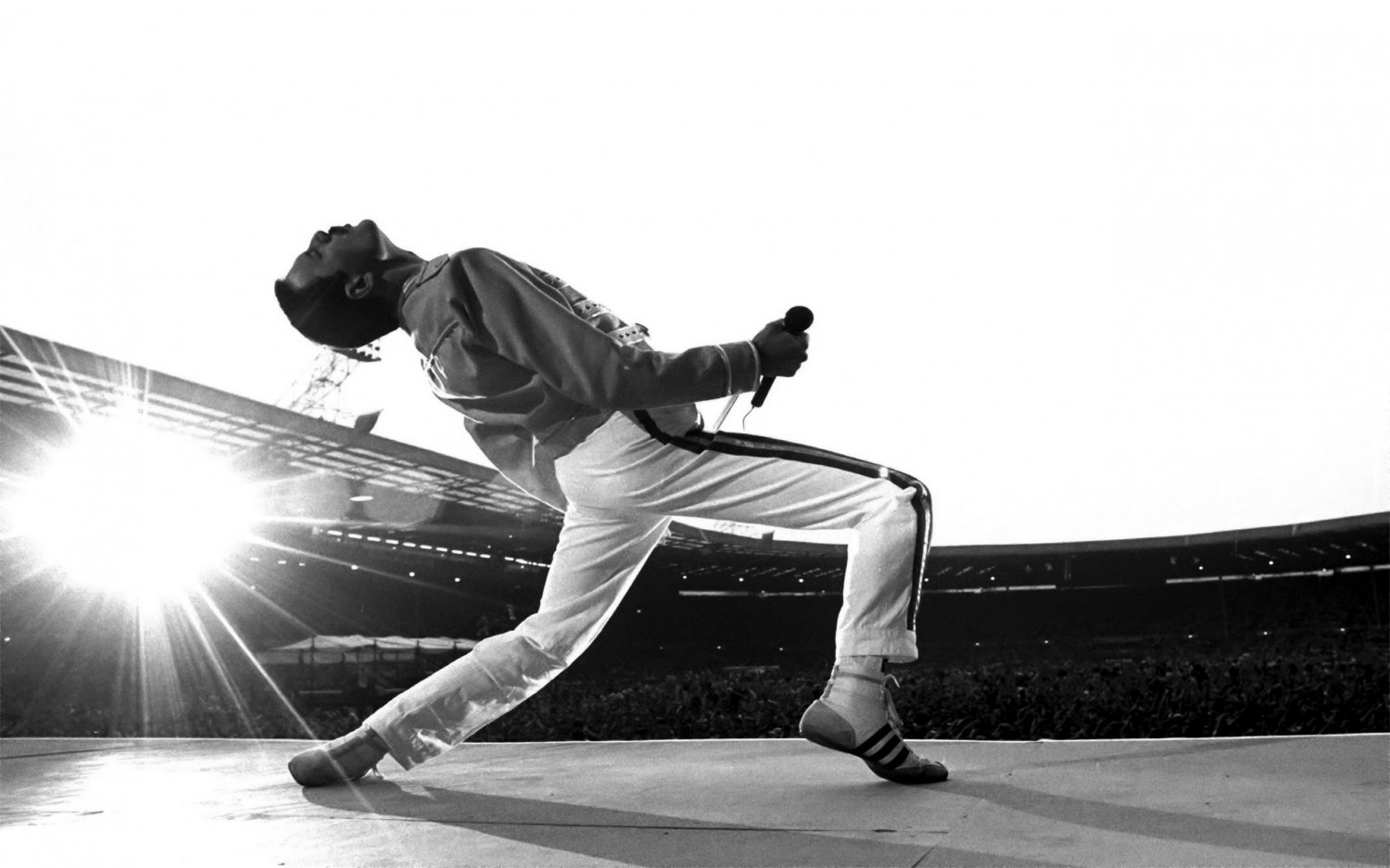 Freddie Mercury 18"x28" (45cm/70cm) Canvas Print